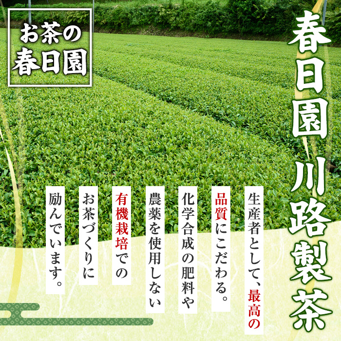 No.1201 ＜ティーバッグ＞日置市の有機栽培茶(5種・合計98P) お茶 日本茶 緑茶 ウーロン茶 烏龍茶 桑茶 べにふうき 紅茶 ほうじ茶 焙じ茶 水出し 詰め合わせ セット【春日園 川路製茶】