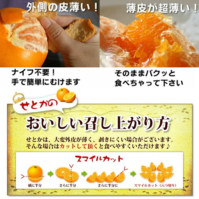 No.211 ＜先行予約受付中！2026年2月下旬～3月下旬までの間に発送＞みかんの大トロ！幻の柑橘「せとか」(約3kg) みかん ミカン 柑橘 せとか 青果 果実 鹿児島 常温 常温保存【黒川農園】
