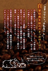 No.202 ＜コーヒー豆＞自家焙煎コーヒー「海夢珈琲(マリンコーヒー)」(200g×3袋・計600g)飲料 コーヒー豆 自家焙煎 ブレンドコーヒー オリジナルブレンド 常温保存【HARU工房】