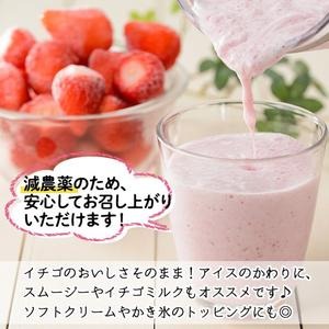 No.229 ＜先行予約受付中！＞冷凍いちご(計約3.4kg・約850g×4P) 国産 九州産 苺 イチゴ 冷凍 果物 フルーツ 減農薬 アイス【片平観光農園】
