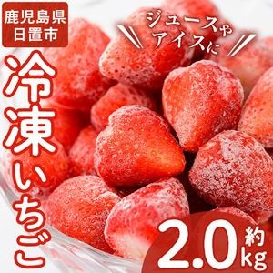 No.298 ＜先行予約受付中！＞冷凍いちご(計約2kg・約1kg×2) 国産 九州産 苺 いちご イチゴ 冷凍 果物 フルーツ 減農薬 アイス【片平観光農園】