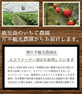 No.298 ＜先行予約受付中！＞冷凍いちご(計約2kg・約1kg×2) 国産 九州産 苺 いちご イチゴ 冷凍 果物 フルーツ 減農薬 アイス【片平観光農園】