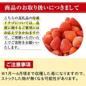 No.298 ＜先行予約受付中！＞冷凍いちご(計約2kg・約1kg×2) 国産 九州産 苺 いちご イチゴ 冷凍 果物 フルーツ 減農薬 アイス【片平観光農園】