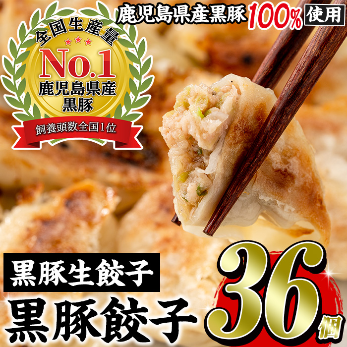 No.1327-n ＜3ヶ月以内に発送＞鹿児島黒豚使用の黒豚生餃子(計36個・12個入り×3パック) 国産 九州産 ぎょうざ 冷凍 黒豚 豚肉 お肉 おかず【末永商店】【429】【861】