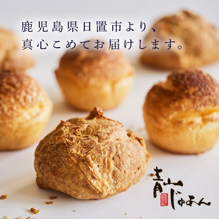 No.1049-B 薩摩77万石溶岩サブレシュー＆パイシュー(12個入)【青山じゅあん】