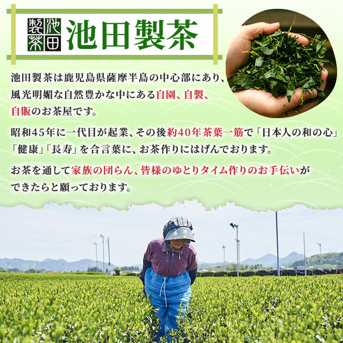 No.1330 池田製茶自慢のお茶セット！紅茶、ほうじ茶、フレーバードティー(3種・5袋) 鹿児島県産 お茶 紅茶 ほうじ茶 フレーバー たんかん 茎茶 簡易包装 数量限定 常温保存【池田製茶】