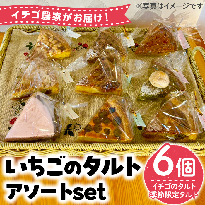 No.1316 いちごのタルトアソートセット(6種) 国産 スイーツ ケーキ タルト デザート いちご 菓子 お菓子 冷凍 ご褒美 プチ贅沢 ギフト 贈答品 ホワイトデー【tubu-ichigo】
