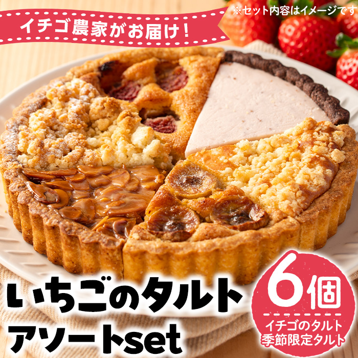No.1316 いちごのタルトアソートセット(6種) 国産 スイーツ ケーキ タルト デザート いちご 菓子 お菓子 冷凍 ご褒美 プチ贅沢 ギフト 贈答品 ホワイトデー【tubu-ichigo】