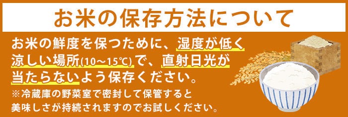 No.598 国産！鹿児島県産ひおきのおこめ無洗米5kg！米 白米 精米 ご飯 おにぎり お弁当 国産 常温【正留産業】