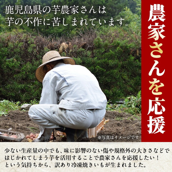 No.1344 ＜定期便＞＜訳あり・規格外＞ハーフカット 紅はるか 冷凍焼きいも (計5.4kg以上・600g×3袋×3回) 国産 九州産 さつまいも 訳アリ 芋 野菜 スイーツ 冷凍【末永商店】
