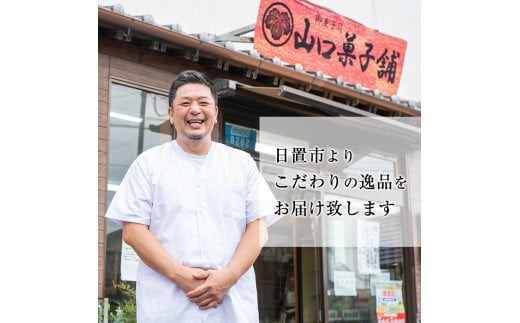 No.1007-A 伊集院饅頭(10個) 伊集院銘菓 日置市 セット 和菓子 スイーツ 郷土菓子 お菓子 ギフト 贈答品 贈り物【山口菓子舗】