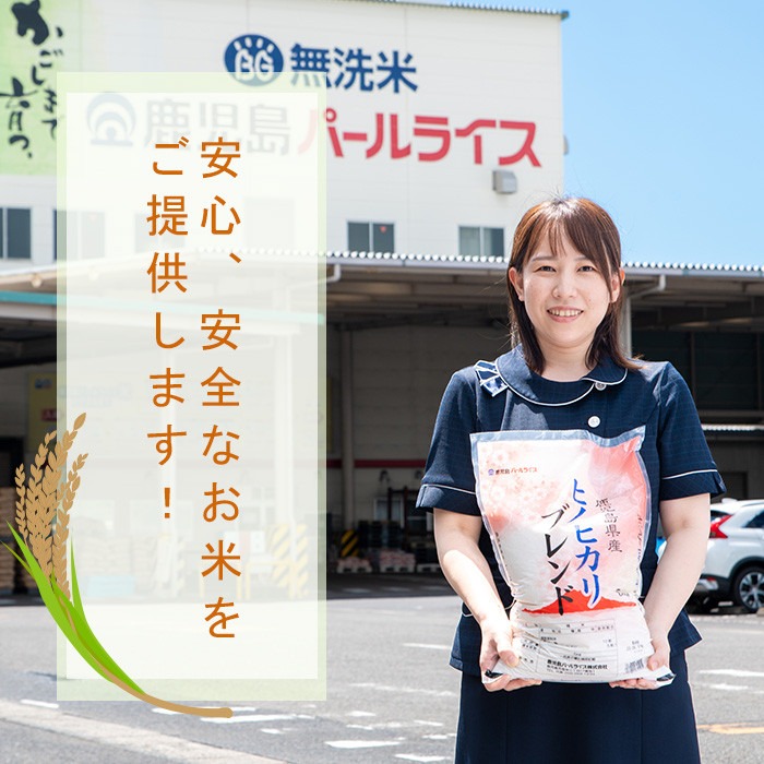 No.1353-B 鹿児島県産あきほなみ 精米 (計10kg) 国産 九州産 鹿児島 お米 10kg 小分け 米 白米 おこめ ごはん ご飯 ライス 弁当 おにぎり 【鹿児島パールライス】