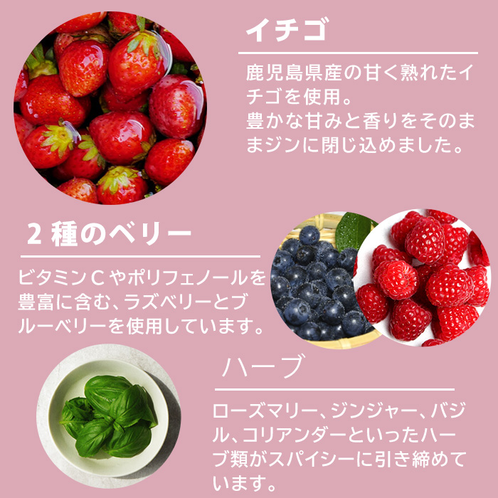 No.359-F 国産クラフトジン KOMASA GIN(45％) 苺-Color-Edition(500ml×2本・計1000ml) 酒 スピリッツ 焼酎 クラフトジン 常温 常温配送 常温保存 【小正醸造】