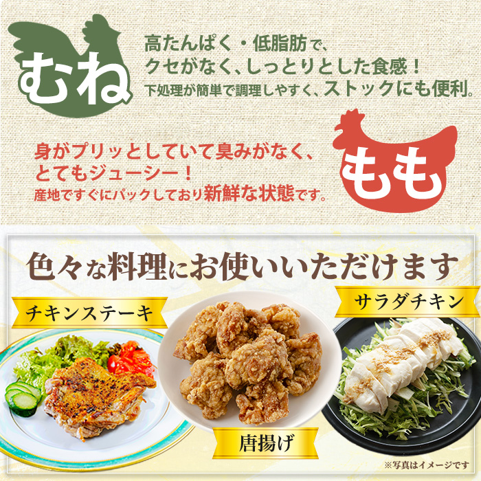 No.1359-B 鹿児島県産若鶏もも肉・むね肉(計約6kg・もも4P/むね8P) 国産 九州産 鹿児島県産 鶏肉 若鶏 とり肉 もも肉 むね肉 小分け 肉 おかず お弁当 おつまみ  【南九フーズ】