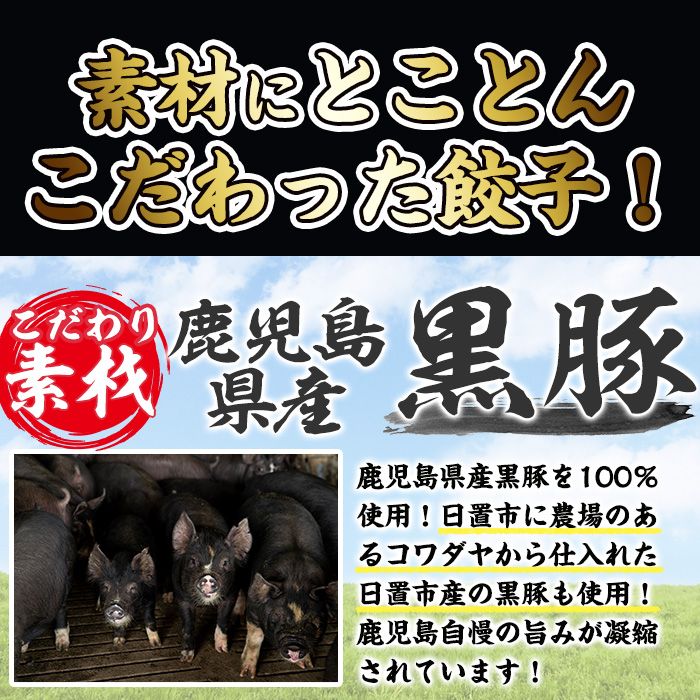 No.429-n 鹿児島黒豚使用の黒豚生餃子(計96個・12個入り×8P) 国産 九州産 ぎょうざ ギョウザ 冷凍 黒豚 豚肉 お肉 おかず【末永商店】