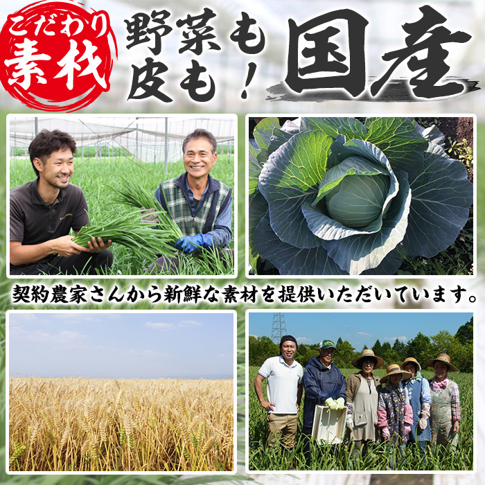No.429-n 鹿児島黒豚使用の黒豚生餃子(計96個・12個入り×8P) 国産 九州産 ぎょうざ ギョウザ 冷凍 黒豚 豚肉 お肉 おかず【末永商店】