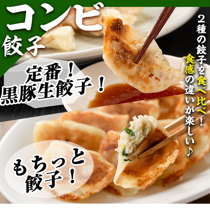 No.429-c 鹿児島黒豚使用の黒豚コンビ餃子(計108個・黒豚：12個入り×4パック、もちっと：15個入り×4パック) 国産 九州産 鹿児島県産 ぎょうざ 黒豚 豚肉 おかず 惣菜 【末永商店】