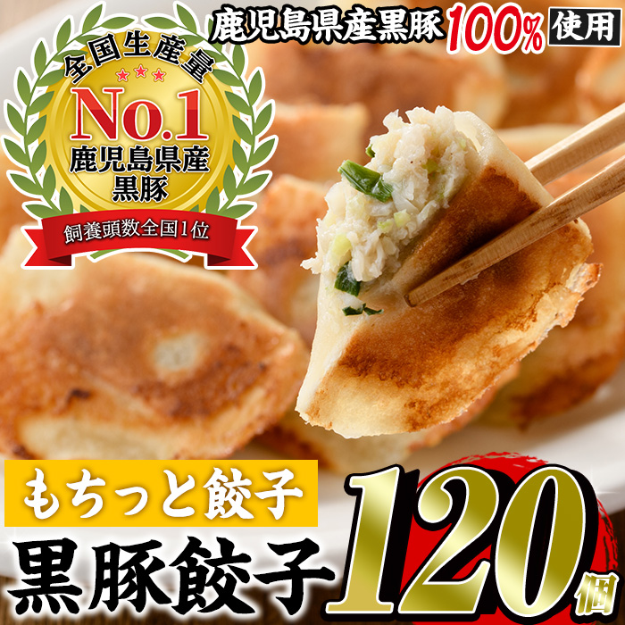 No.429-m 鹿児島黒豚使用の黒豚もちっと餃子(計120個・15個入り×8パック) 国産 九州産 鹿児島県産 餃子 ぎょうざ 冷凍 黒豚 豚肉 お肉 おかず 惣菜 小分け 【末永商店】