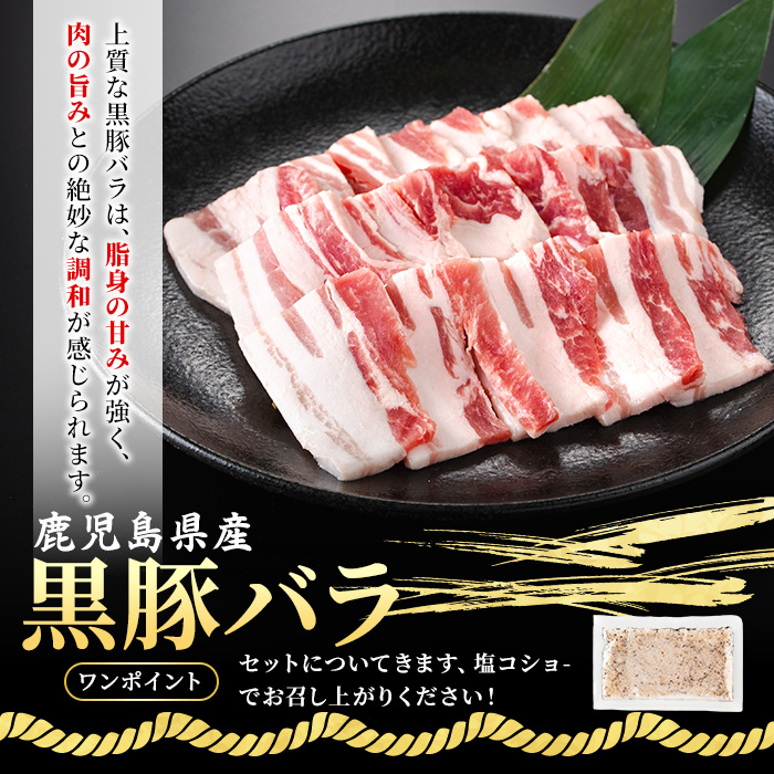 No.1360 黒毛和牛・黒豚バラの焼肉＆黒毛和牛ステーキのセット(合計1.1kg！和牛ロース/バラ200g・和牛モモ200g・和牛ロースステーキ200g×2・黒豚バラ300g) 国産 九州産 鹿児島県産 牛肉 豚肉 黒毛和牛 和牛 お肉 おかず ステーキ ロース 冷凍 【NBフード】