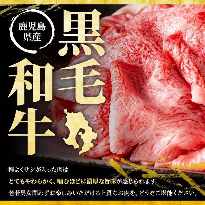 No.1361 黒毛和牛すき焼き・黒豚しゃぶしゃぶセット(合計1kg！黒毛和牛すき焼き用500g・黒豚しゃぶしゃぶ用500g) 国産 九州産 鹿児島県産 牛肉 豚肉 黒毛和牛 和牛 お肉 おかず ステーキ ロース 冷凍 【NBフード】