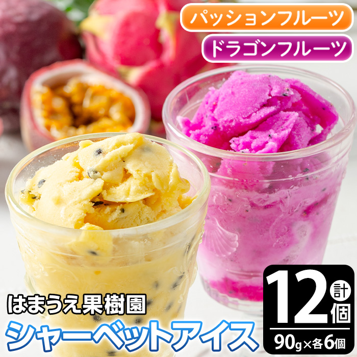No.627 鹿児島県産！フルーツシャーベットアイス(計12個・90g×各6個) パッションフルーツ レッドドラゴンフルーツ 国産 鹿児島 日置市 デザート 果物 贈答 アイス 【はまうえ果樹園】
