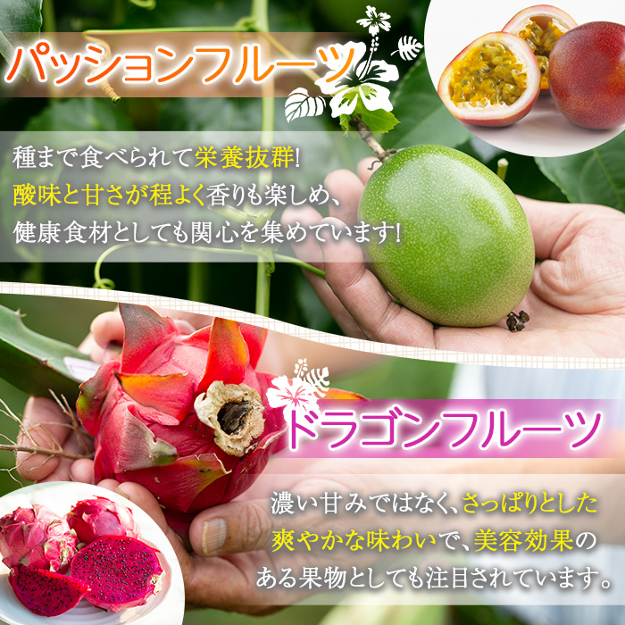 No.627 鹿児島県産！フルーツシャーベットアイス(計12個・90g×各6個) パッションフルーツ レッドドラゴンフルーツ 国産 鹿児島 日置市 デザート 果物 贈答 アイス 【はまうえ果樹園】