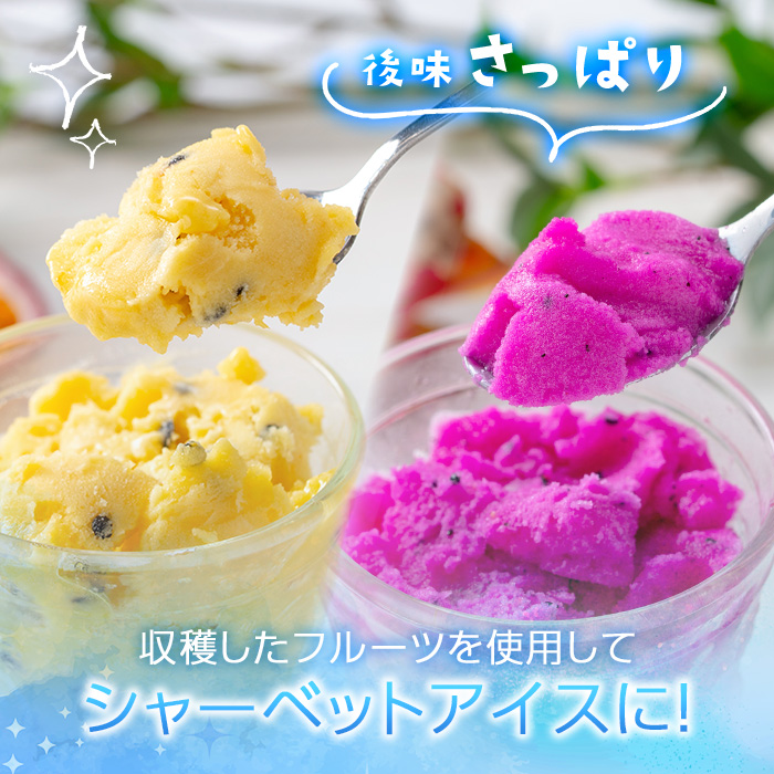 No.627 鹿児島県産！フルーツシャーベットアイス(計12個・90g×各6個) パッションフルーツ レッドドラゴンフルーツ 国産 鹿児島 日置市 デザート 果物 贈答 アイス 【はまうえ果樹園】