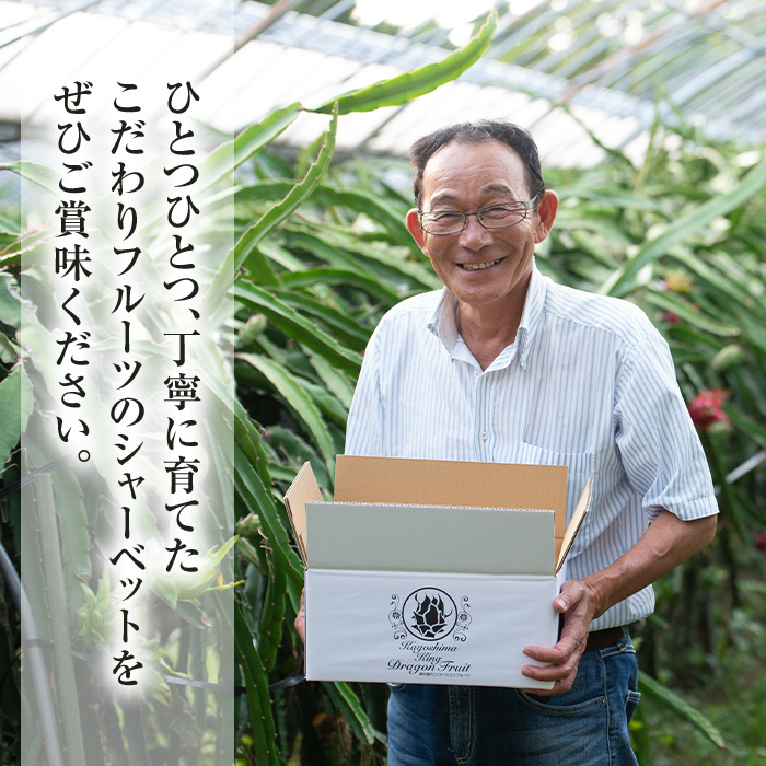 No.627 鹿児島県産！フルーツシャーベットアイス(計12個・90g×各6個) パッションフルーツ レッドドラゴンフルーツ 国産 鹿児島 日置市 デザート 果物 贈答 アイス 【はまうえ果樹園】
