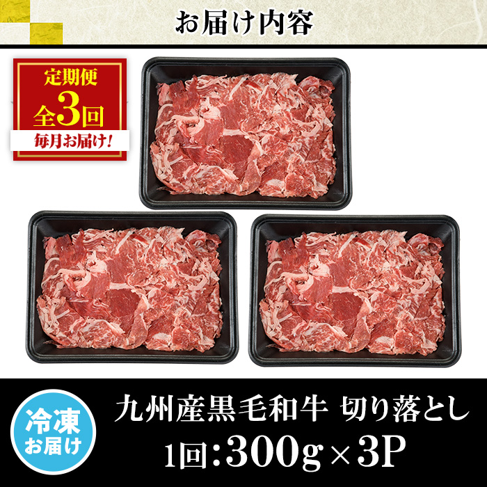 No.1376-A ＜定期便・全3回＞九州産 黒毛和牛切り落とし(総計2.7kg・300g×3P×３回) 牛肉 切落し 切り落し 和牛 冷凍 九州産 国産 小分け 国産牛 お肉 牛丼 野菜炒め カレー 定期便 冷凍 寄附額改定 小分け 【LRプラスK】