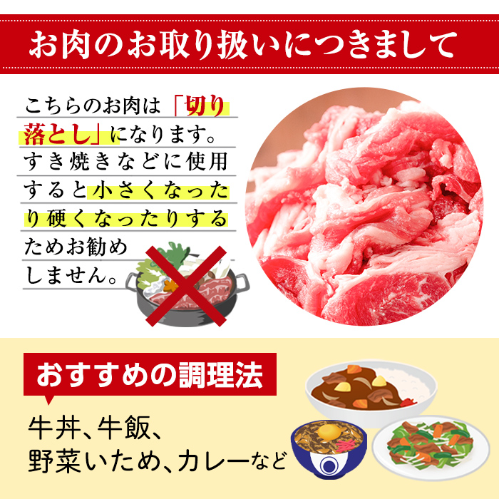 No.1376-B ＜定期便・全6回＞九州産 黒毛和牛切り落とし(総計5.4kg・300g×3P×6回) 牛肉 切落し 切り落し 和牛 冷凍 九州産 国産 小分け 国産牛 お肉 牛丼 野菜炒め カレー 定期便 冷凍 寄附額改定 小分け 【LRプラスK】