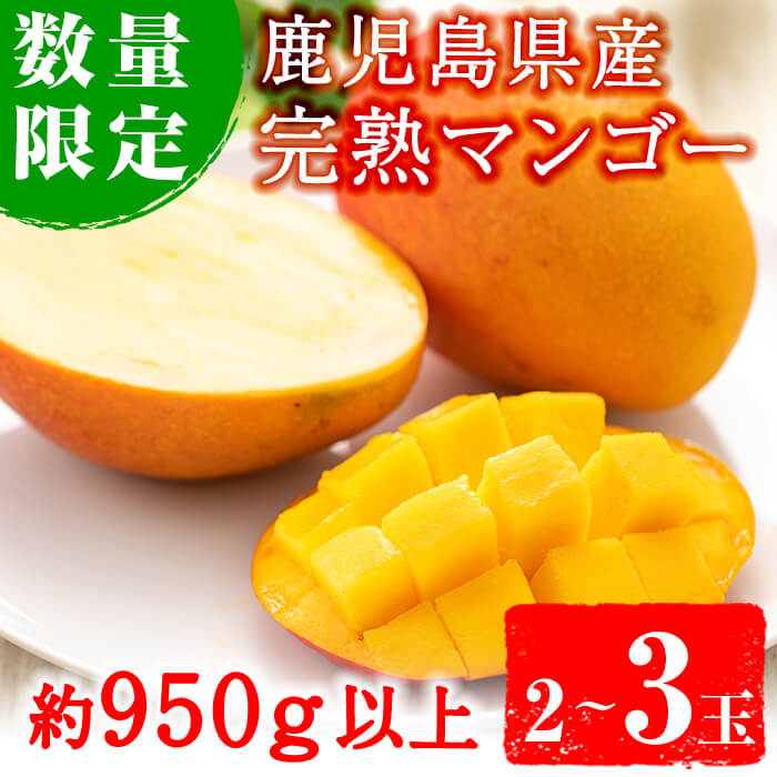 No.471 ＜先行予約受付中！2026年5月中旬から発送＞《期間・数量限定》完熟マンゴー2玉入り及び3玉入り(約950g以上)国産 九州産 フルーツ マンゴー ギフト 贈答 数量限定【さつま日置農協北部営農センター】