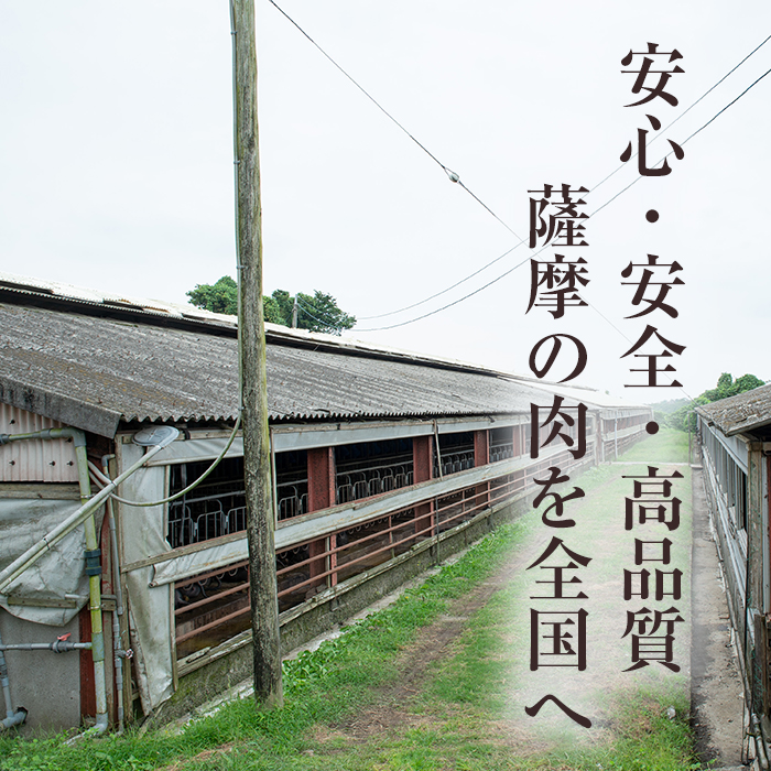 No.403 鹿児島県産黒豚肉使用！黒豚バラエティ詰め合わせ(3種・合計830g)国産 九州産 黒豚 豚肉 焼き豚 焼豚 フランクフルト ウインナー 惣菜 おかず 弁当 小分け【コワダヤ】