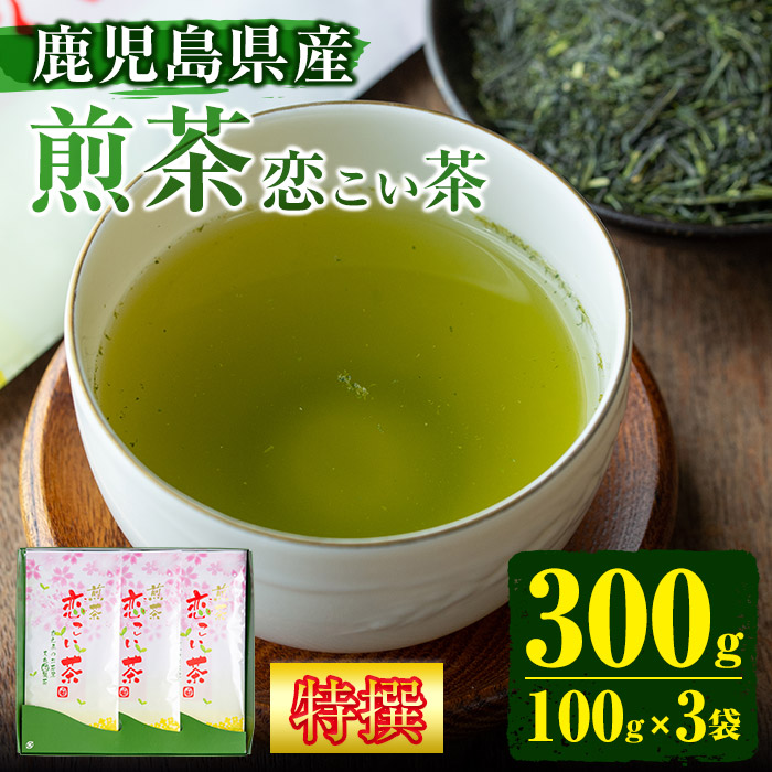 No.407 ＜鹿児島県産＞特撰煎茶(100g×3袋セット 計300g) 【末永(清)製茶】