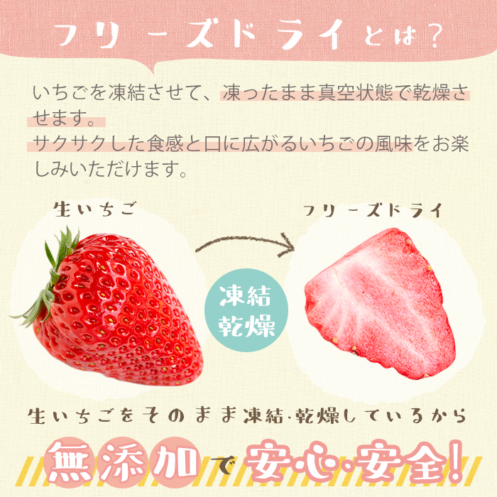 No.464 いちごのフリーズドライセット(赤いちご9g×3袋・白いちご8g×1袋) 【ままりあ農園】