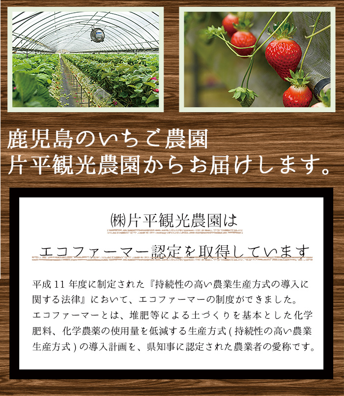No.362 ＜先行予約受付中！＞＜訳あり・小粒＞ころころサイズの冷凍いちご(計約2.55kg・850g×3袋) 訳アリ イチゴ 苺 冷凍 果物 フルーツ 国産 鹿児島県産 減農薬 アイス 不揃い 規格外【片平観光農園】
