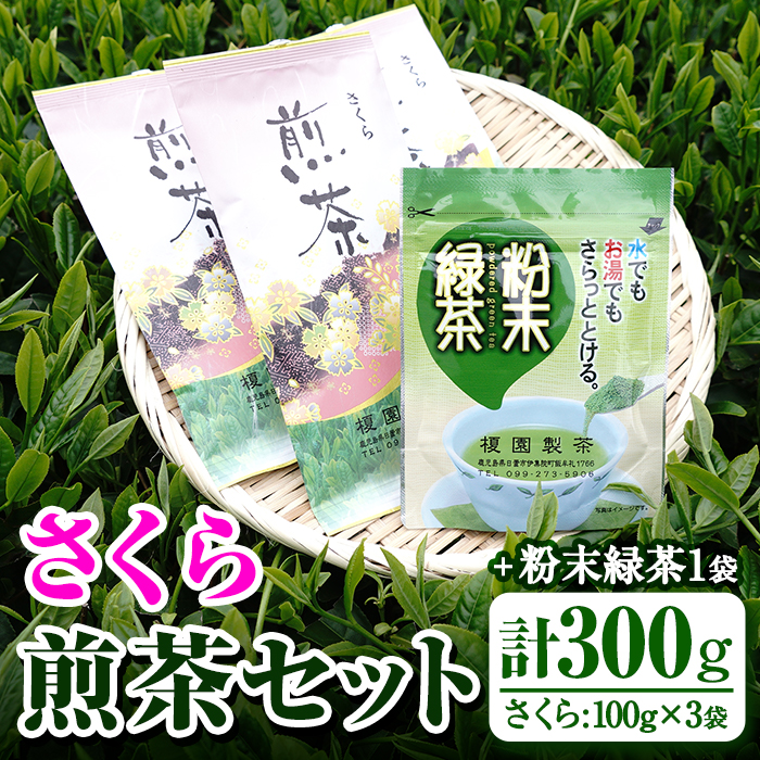 No.615 鹿児島県産の煎茶セット「さくら」厳選した4種類の品種をブレンドした煎茶さくら(100g×3袋)と粉末緑茶(1袋)【世献 榎園製茶】