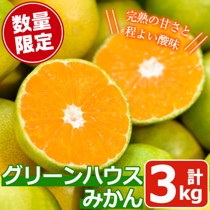 No.148 ＜先行予約受付中！2026年7月下旬から発送＞鹿児島県産 グリーンハウスみかん(計3kg) ミカン 蜜柑 柑橘 果物 フルーツ 小ぶり 青果 鹿児島 ギフト 贈答【黒川農園】