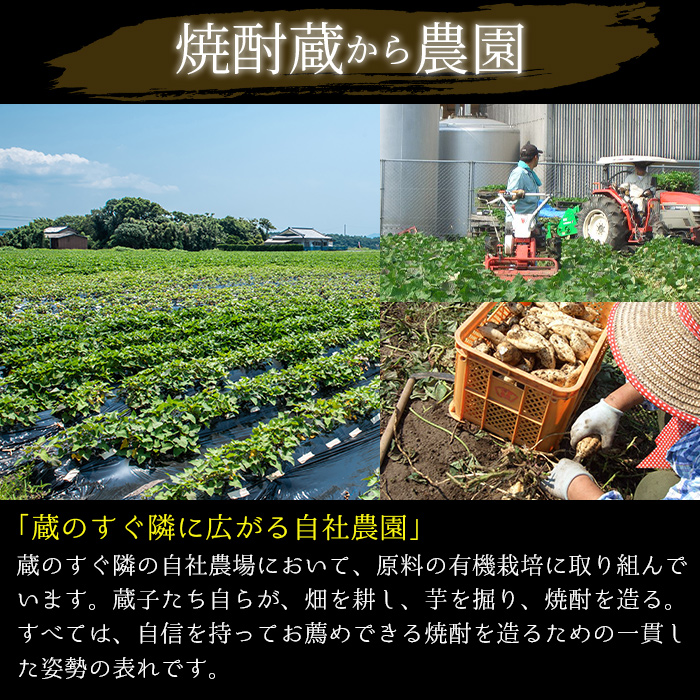 No.673 ＜本格芋焼酎＞西海の薫「黒」セット(紙パック・各1800ml・計6本) 
