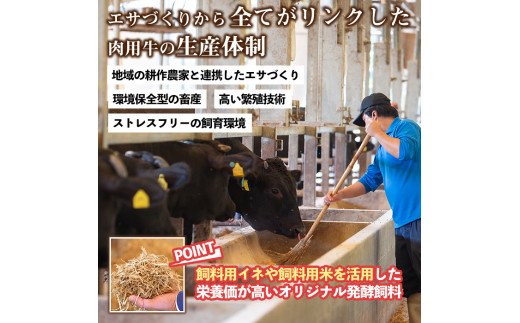 B5-006 4等級以上！鹿児島県産黒毛和牛と南国黒牛のヒレステーキ2種盛り(計460g)【カミチク】