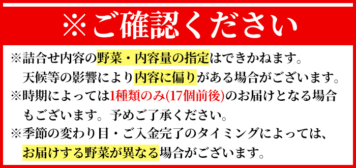 K-225-B ＜定期便・全12回＞霧島市産の野菜おまかせBOX(17個前後)【FoodBase】霧島市 国産 野菜 やさい セット せっと おまかせ 詰め合わせ 旬 定期便