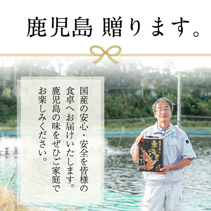 A0-331 鹿児島県産！薩摩隼人ひらめ230g以上(2〜3P)【MBC開発】