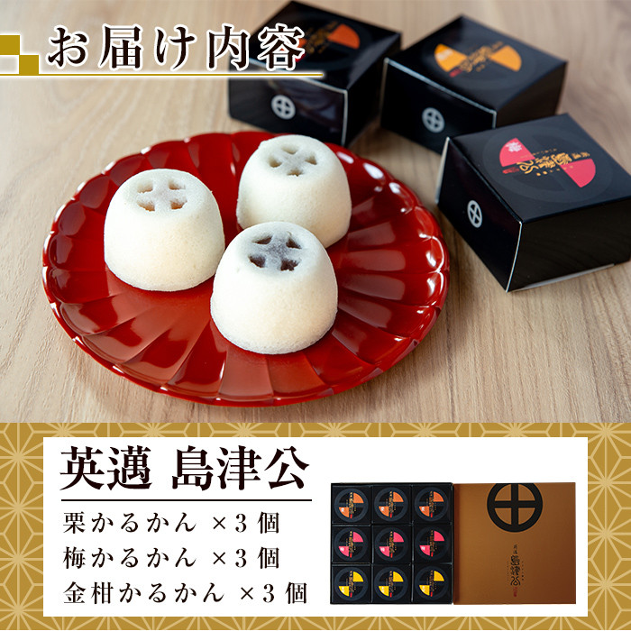 A6-003 かるかん饅頭「英邁 島津公」3種セット(計9個)【森三】