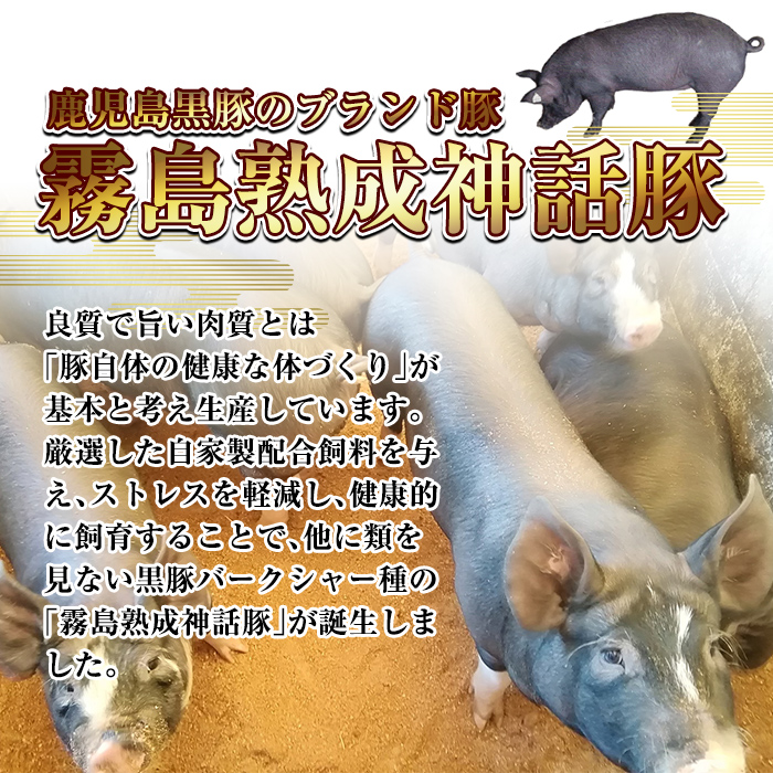 Z6-012-P 霧島神話豚の豚みそ！(ピリ辛味30個)【富士食品】