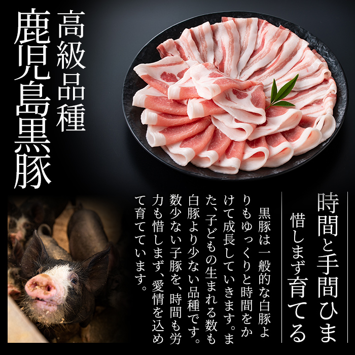 Z6-012-G 霧島神話豚の豚みそ！(ゴーヤ味30個)【富士食品】