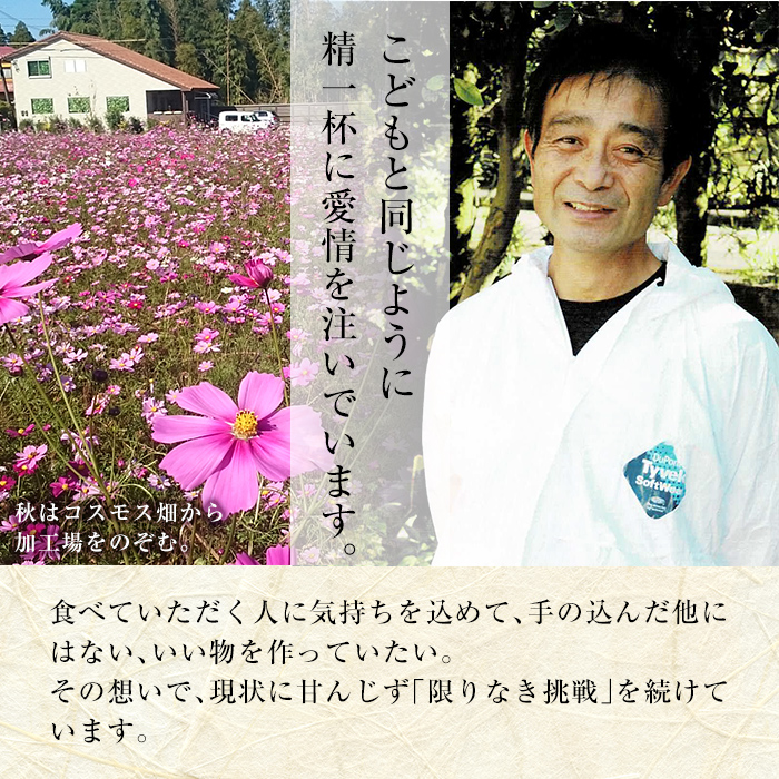 B0-166 国産！鹿児島黒豚プレミアムバーベキューセット(計2kg以上)【米平種豚場ふくふく黒豚の里】