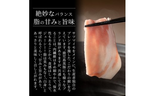 A-211 鹿児島黒豚「霧島熟成神話豚」下ロースセット(計500g)【富士食品】