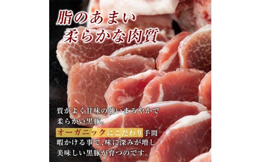 A0-357 サムギョプサル用鹿児島黒豚バラ肉(合計1kg)【米平種豚場ふくふく黒豚の里】
