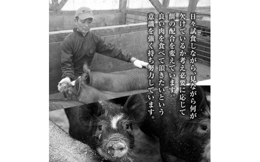 A0-358 鹿児島黒豚リブロース極厚トンカツ3枚(合計800g以上)【米平種豚場ふくふく黒豚の里】