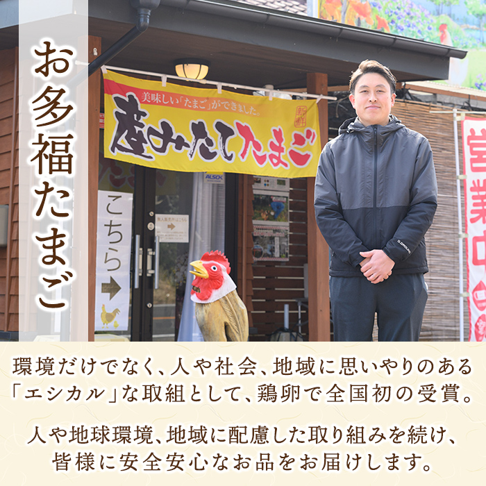 K-330 国産「お多福たまご」の放し飼い鶏ひき肉計5kg(500g×10袋)【お多福たまご】霧島市 国産 鶏肉 鳥 ミンチ 鳥ミンチ ひき肉 挽き肉 冷凍 小分け