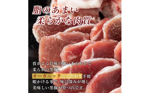 A0-359 鹿児島黒豚ミンチ計1.8kg(300g×6袋)【米平種豚場ふくふく黒豚の里】